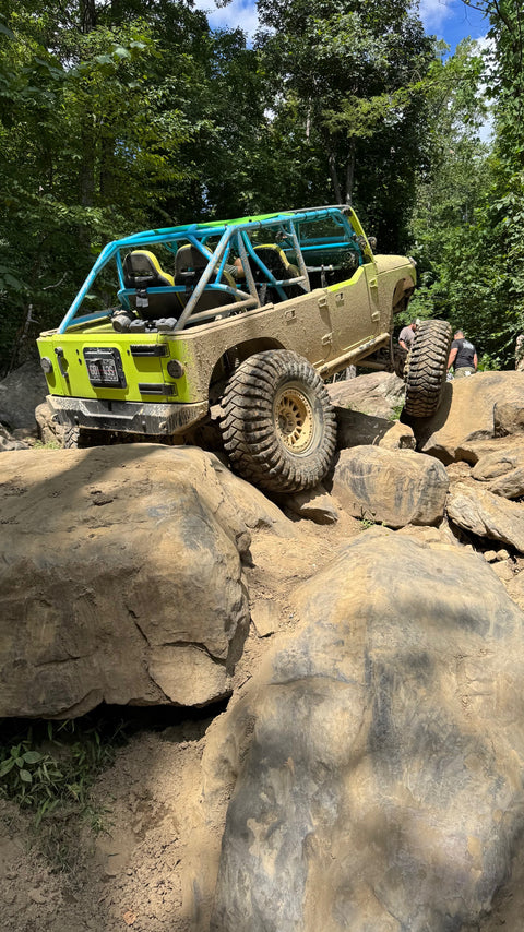 JKU Roll Cage